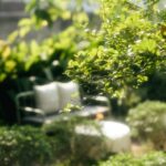 Tips for Creating a Relaxing Outdoor Space in Your Backyard